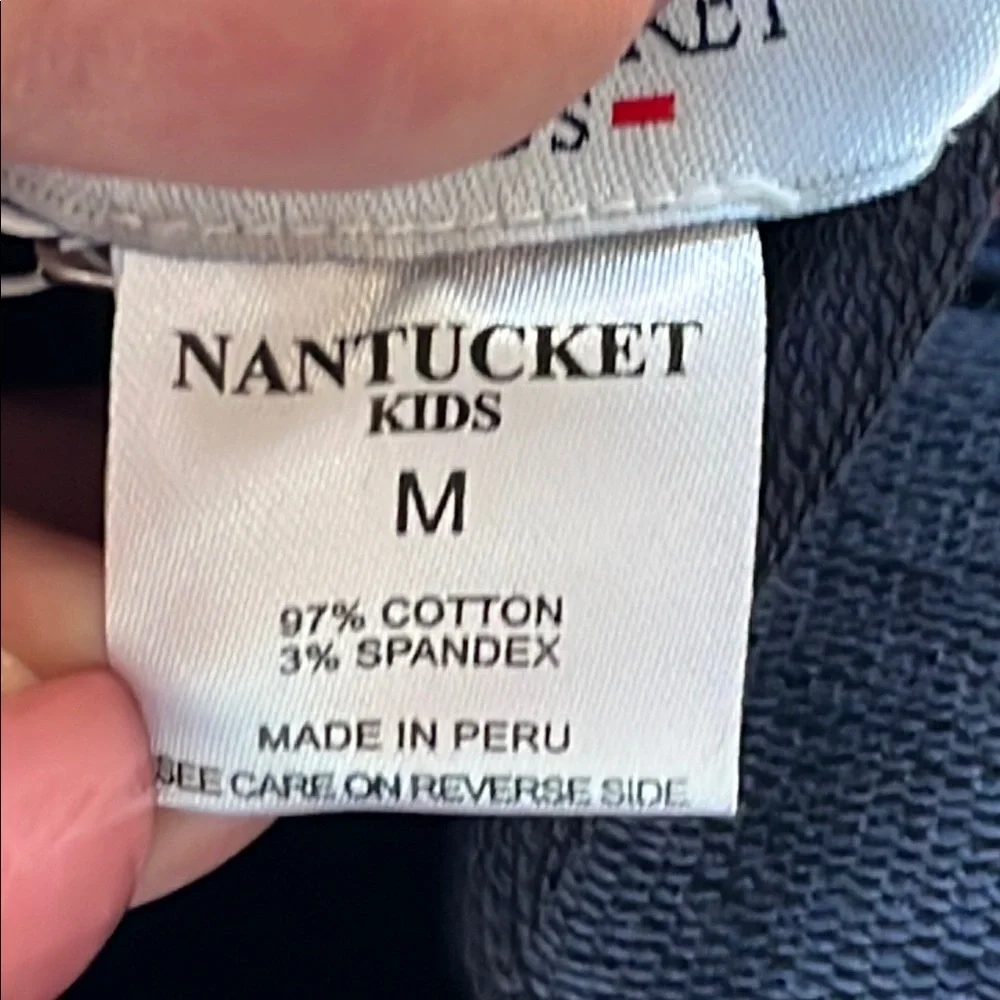 NWT NANTUCKET KIDS Navy and Red Turtleneck Lobster Print Dress